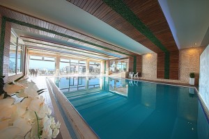 H&H Wellness SPA Havuz